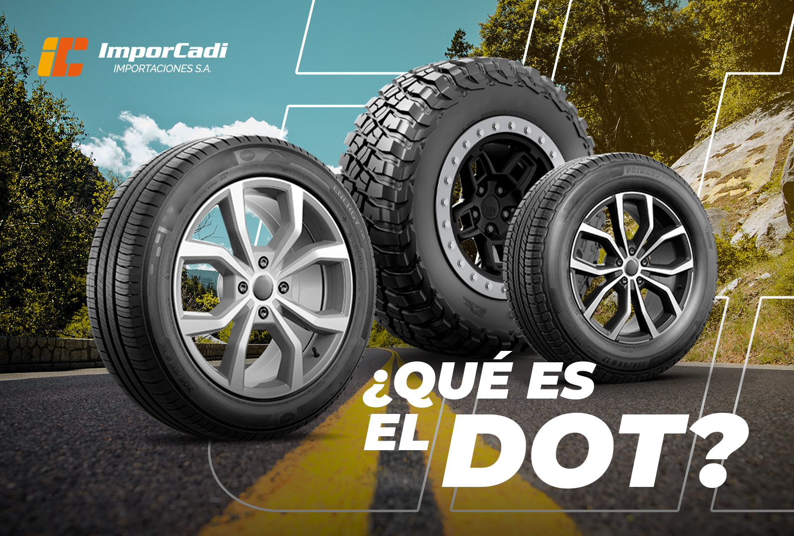 En este momento estás viendo ¿Qué debes saber sobre el DOT de tus neumáticos?